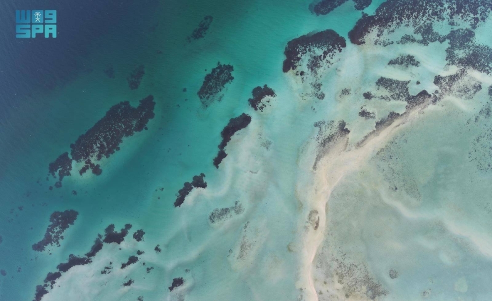 جزر البرك.. وجهة عسير البحرية تزهو بتنوعها الأحيائي وسحرها الطبيعي جزر البرك.. وجهة عسير البحرية تزهو بتنوعها الأحيائي وسحرها الطبيعي