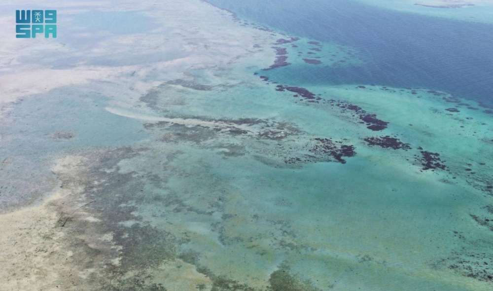 جزر البرك.. وجهة عسير البحرية تزهو بتنوعها الأحيائي وسحرها الطبيعي جزر البرك.. وجهة عسير البحرية تزهو بتنوعها الأحيائي وسحرها الطبيعي