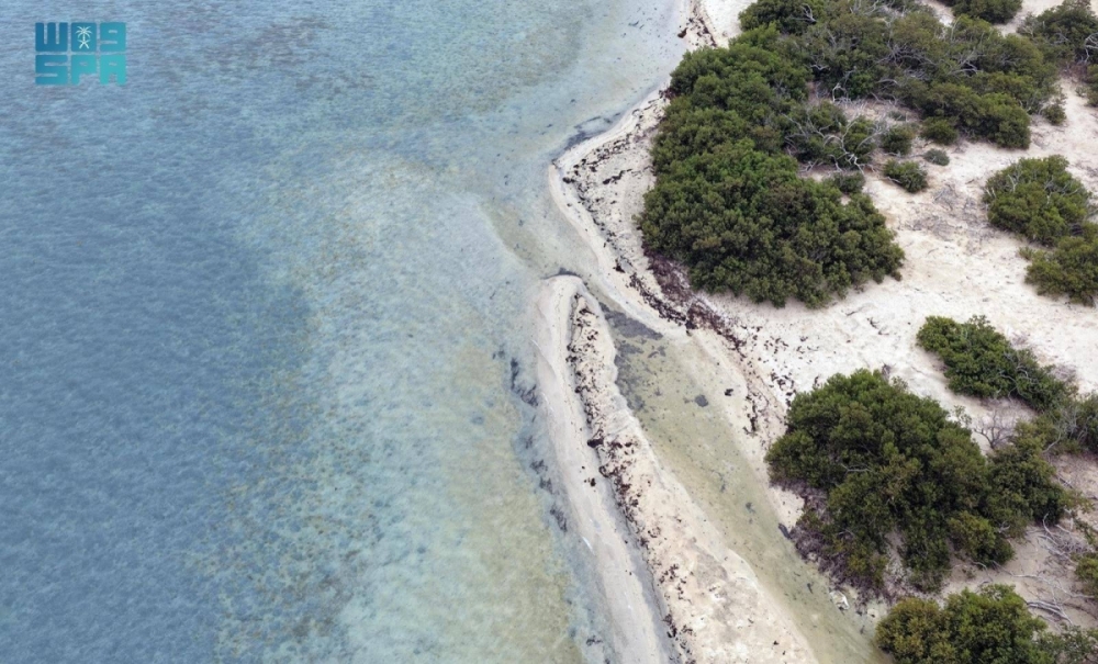 جزر البرك.. وجهة عسير البحرية تزهو بتنوعها الأحيائي وسحرها الطبيعي جزر البرك.. وجهة عسير البحرية تزهو بتنوعها الأحيائي وسحرها الطبيعي