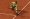 Nadal, Djokovic set up French Open quarter-final clash as Alacaraz cruises