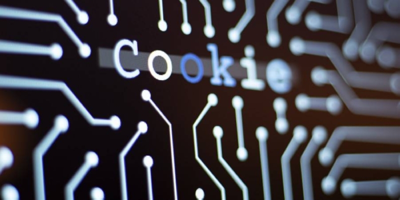 Cookies are small computer files that can contain a lot of personal information. — atakan / Getty Images via ETX Studio