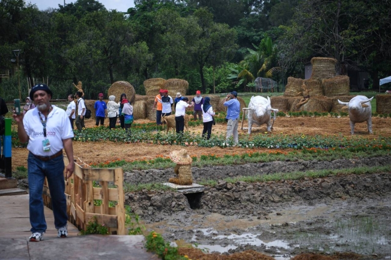 Visitors get to experience padi harvesting at Maha 2022