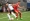 With Eintracht’s Kostic set to depart, Hertha fancy their chances