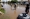 Flood-weary Australia set for more wet weather as death toll rises