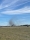 Two aircraft collide and crash at World War Two airshow in Texas 