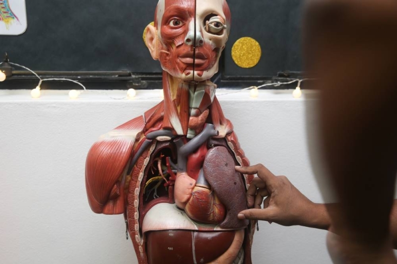 UM's Human Anatomy Expo 2023 an eye-opening journey of the body, with  45-year-old preserved head among highlights | Malay Mail