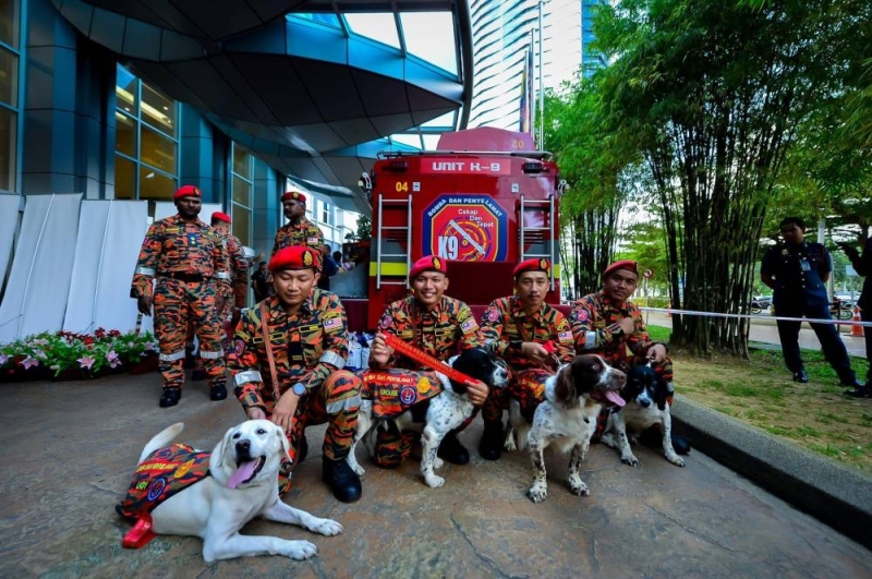 Four K9 dogs bestowed the ‘Golden Performance’ award for their service in Batang Kali (VIDEO)