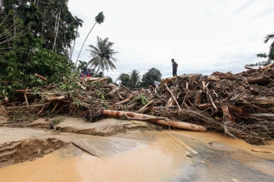 Forcible removal of the Rohingyas: A travesty of human dignity