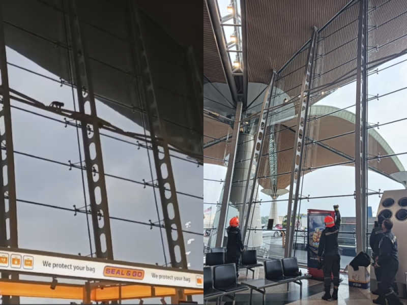 Furry traveller Monkey wandering inside KLIA rescued by