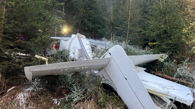 Four dead after light plane crashes in central Austria ...