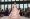 Power blooms in Carolina Herrera’s show at New York Fashion Week