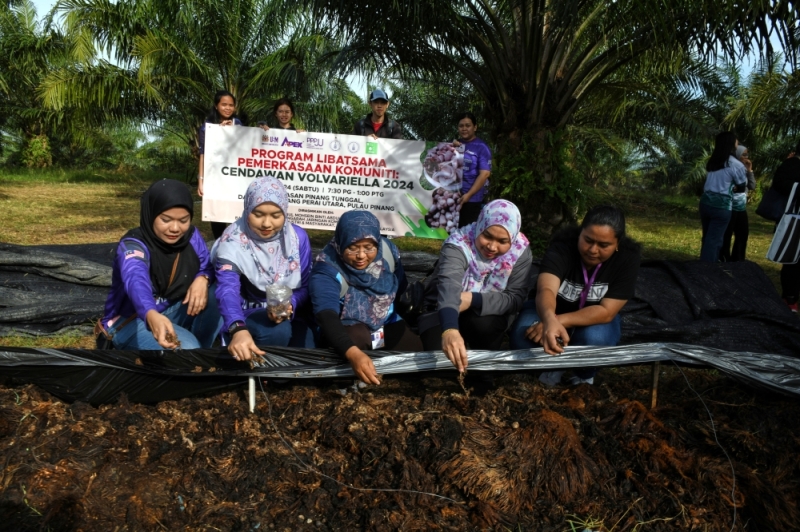 USM helps empower local communities in Penang through volvariella mushroom venture