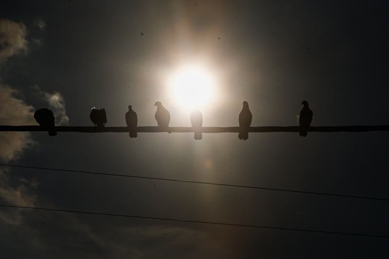 MetMalaysia: Eight locations in north of peninsula to experience extreme hot weather conditions MetMalaysia: Eight locations in north of peninsula to experience extreme hot weather conditions