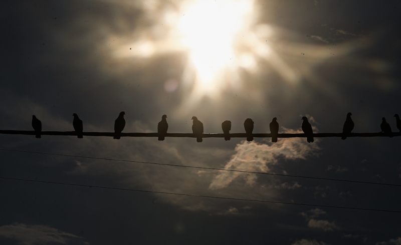 MetMalaysia issues level two heatwave alert for Pokok Sena in Kedah MetMalaysia issues level two heatwave alert for Pokok Sena in Kedah