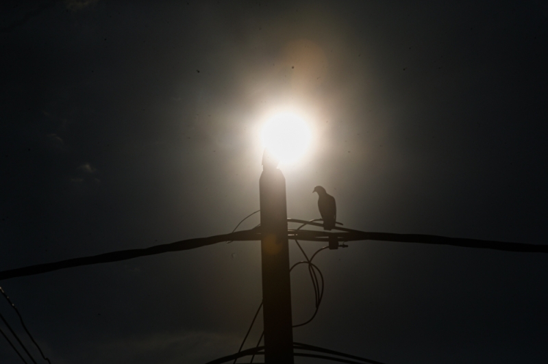 MetMalaysia: Heatwave hits Perlis for two consecutive days MetMalaysia: Heatwave hits Perlis for two consecutive days