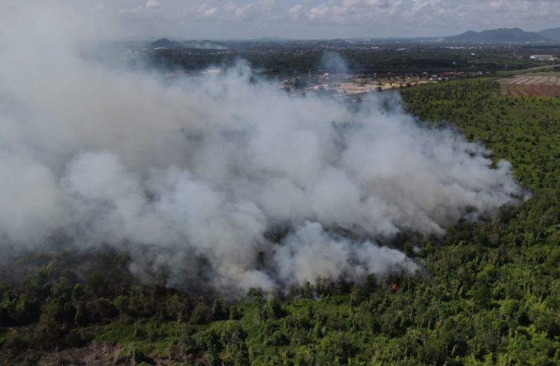 Pahang Fire and Rescue Dept: 30ha of forest area on fire in Kuantan Pahang Fire and Rescue Dept: 30ha of forest area on fire in Kuantan