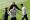 PSG coach Luis Enrique urges ‘calm’ in Dortmund Champions League decider