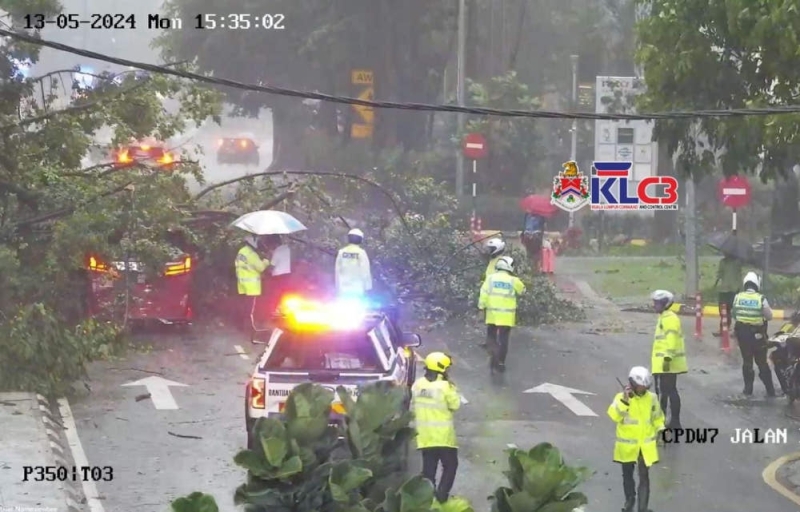 Another fallen tree brings traffic to standstill in KL’s Golden Triangle, less than a week after Jalan Sultan Ismail incident Another fallen tree brings traffic to standstill in KL’s Golden Triangle, less than a week after Jalan Sultan Ismail incident