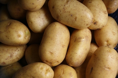 TikTok beauty: Potatoes are the latest natural beauty remedy for undereye circles (VIDEO) The potato is the new darling of skincare aficionados on TikTok, appreciated for its ability to combat dark undereye circles. — Unsplash pic