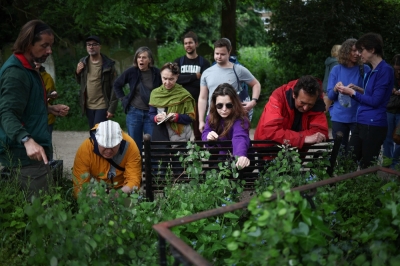 Hunting for edible plants with London’s urban foragers People taking part in a plant foraging tour run by Forage London pick seed pods from the Honesty plant at Tower Hamlets Cemetery Park, in London, May 18, 2024. — AFP pic