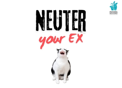 Can’t get over your ex? SPCA Selangor wants you to ‘neuter’ them for a good cause SPCA Selangor is calling the public to neuter animals named after former lovers to control the stray animal population. — Picture via Instagram/spca_selangor