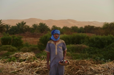 In the heart of Mauritania’s desert, a green oasis cultivates equality The farmer Mohamed Ould Vaide holds some vegetables recently harvested from his field in the oasis of Oasis of Maaden el Ervane, in the Adrar region, on June 20, 2024. Located between mountains and dunes, the Oasis of Maaden el Ervane was founded with the aim of creating an autonomous community which has become nowadays a flagship for agroecology. — AFP pic