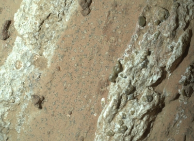 Sign of ancient life on Red Planet? Scientists abuzz as Nasa Mars rover captures rock that could hold fossilised microbes This handout image obtained on July 26, 2024 shows a reddish rock nicknamed ‘Cheyava Falls’ in Mars’ Jezero Crater on July 18, 2024, in an image captured by Nasa’s Perseverance rover. — Nasa/JPL-Caltech/MSSS handout pic via AFP