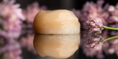 Would you bite? After lab-grown chicken, fish-free, cellulose-based tuna and scallops now a reality scallops
