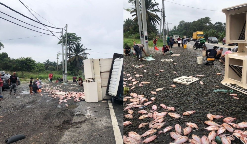 Johor highway turns into seafood free-for-all after lorry spill Kota Tinggi Police Chief, Superintendent Yusof Othman, said that there were no injuries in the accident involving two cars and a lorry. — Composite of Facebook photos