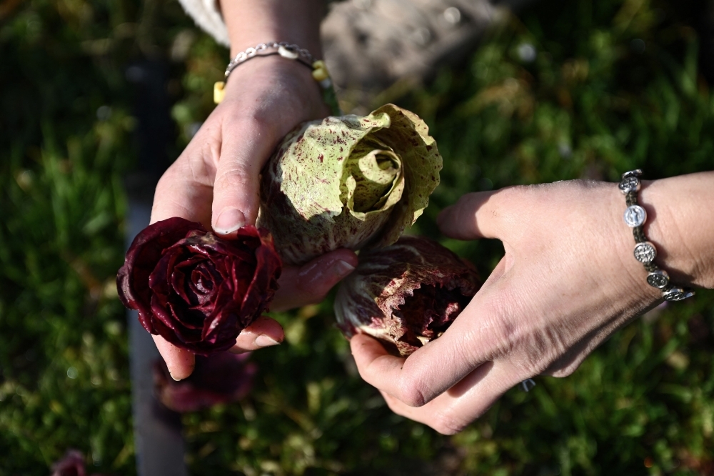 Insidious and invisible: How Italian mothers unwittingly poisoned ...