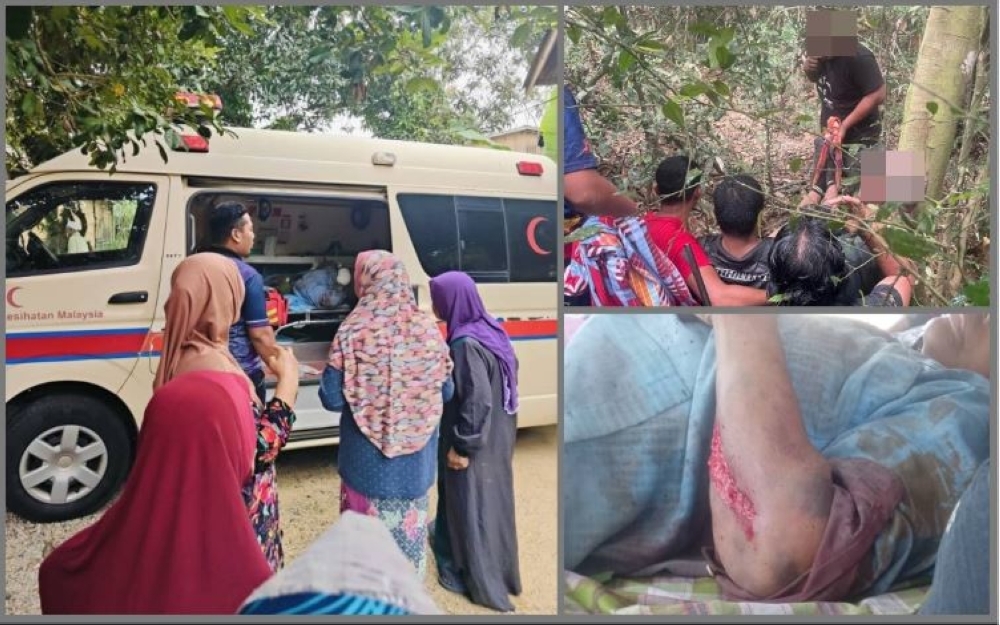 Kuala Krai residents on high alert after elephant attack injures elderly woman and Perhilitan officer A Department of Wildlife and National Parks (Perhilitan) personnel and an elderly woman were injured after they were believed to have been attacked by an elephant in an incident at Kampung Laloh here yesterday. — Bernama pic/Kampung Laloh resident
