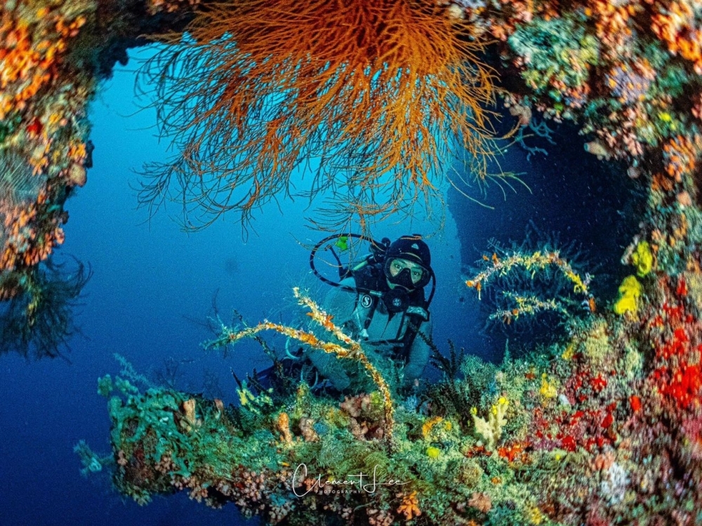 Wife watches as Chinese tourist drowns during unsupervised dive in Sipadan waters An undated photograph shows a diver in the waters of Sipadan. ― Picture by Clement Lee