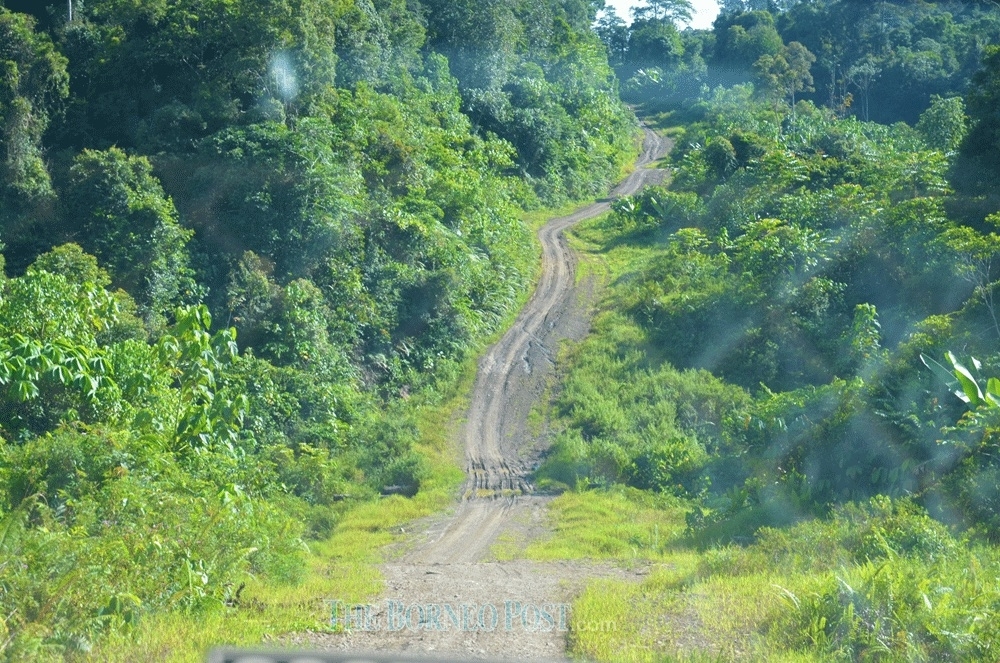 Sarawak to convert over 5,000km disused logging roads into village ...