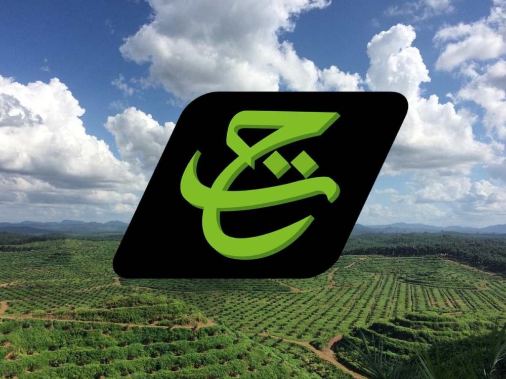 TH Plantations CEO put on garden leave, CFO resigns as allegations of RM5m payouts emerge TH Plantations senior management were handed letters amid a probe into allegations of RM5 million in unauthorised payouts. — Composite pic via Instagram/TH Plantations