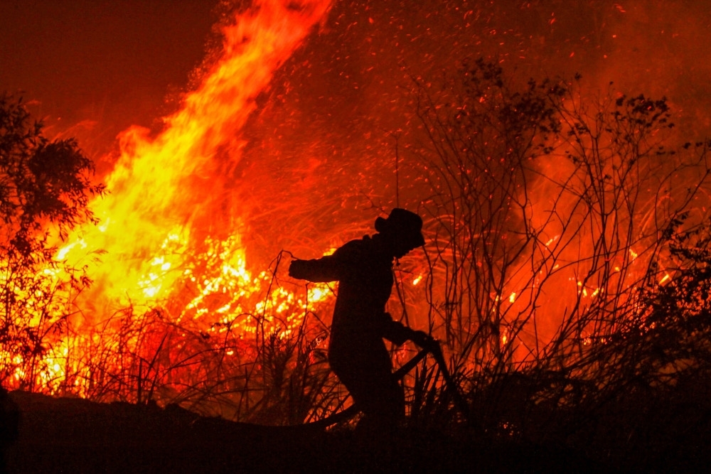 Indonesia says 46 hectares of forest burning across north, west Sumatra A firefighter is seen in front of a fire in a forest at Rambutan village, in Ogan Ilir, South Sumatra province, September 11, 2019. — AFP pic