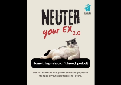 SPCA Selangor’s Neuter Your Ex 2.0 campaign: Here’s how you can let go of the past while supporting a good cause Still holding onto some feelings for your ex? Why not turn them into something positive with SPCA Selangor’s cheeky Neuter Your Ex 2.0 campaign. — Picture via Facebook/SPCA Selangor