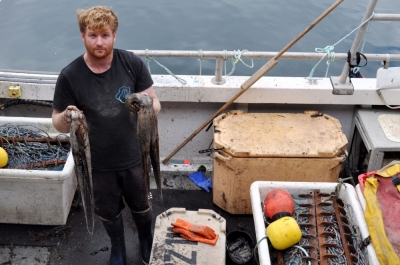 UK fishermen warn livelihoods at risk as record octopus bloom devastates crab stocks Fisherman Chris Kelly, 32, poses with an octopus caught aboard his vessel Shadow in Plymouth Harbour, southwest England, on August 21, 2025. Kelly has seen good prices from the unexpected catch but worries about its impact on lobster stocks. — AFP pic