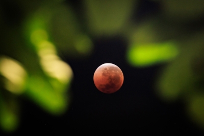 ‘Blood Moon’ rises as Kenya looks to the stars for tourism This photograph shows a view of a full moon also known as 'Blood Moon' with leaves in the foreground during a phase of a total lunar eclipse in Jakarta on September 8, 2025. — AFP pic
