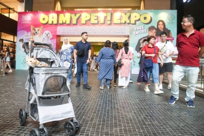 Cats in hats, pampered Poms and bunnies in strollers steal the show at Oh My Pet Expo 2025 It was a packed weekend for some few thousands pet owners across Klang Valley who came for the recent Oh My Pet Expo 2025. — Picture by Choo Choy May