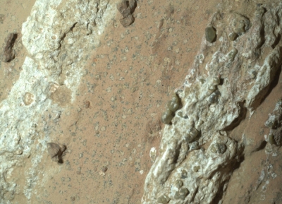 Nasa hails Martian rock discovery as possible clearest sign of past life An image taken by Nasa’s Perseverance rover that shows ‘leopard spots’ on a reddish rock nicknamed ‘Cheyava Falls’ in Mars’ Jerezo Crater in July 2024 on Mars. — Nasa/JPL-Caltech/MSSS handout pic via AFP