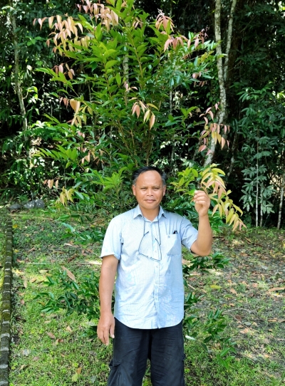 Leaf it to nature: Exploring the world’s first nickel garden in Sabah Head of the Hyperaccumulator Garden Project, Sabah Parks, Sukaibin Sumail poses for a picture at Monggis Nickel Park in Ranau, Sabah. — Bernama pic