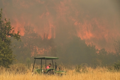 Scientists say global warming drove nearly 70pc of summer heat deaths in European cities A resident tries to battle a wildfire in the village of Santa Baia de Montes in the province of Ourense, north-western Spain, on August 14, 2025. — AFP pic