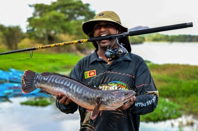Sharp teeth, fast growth: Sri Lanka hooks anglers in nationwide campaign against invasive fish An angler holds a Giant Snakehead fish, caught during a fishing competition at the Deduru Oya reservoir in Kurunegala on September 20, 2025. — AFP pic