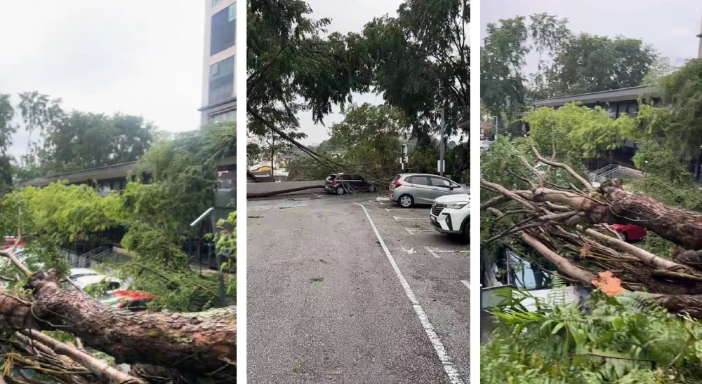 Freak afternoon storm batters Klang Valley, uproots trees and wrecks vehicles (VIDEO) A late afternoon storm that struck the capital around 4pm today caused widespread damage and disruption across several parts of the city, affecting flats, businesses, and a university campus. — Picture via social media