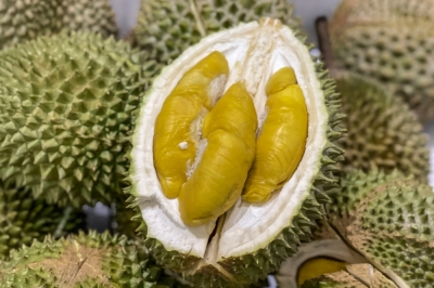 Gas leak? Nah, just durian doing its thing in an English town When a durian hits the UK high street, even gas engineers and police can’t tell the difference — Lancashire had a whiff of South-east Asia’s most notorious fruit last week. — Picture by Hari Anggara