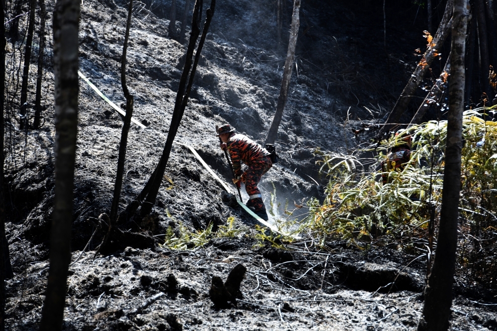 Penang Botanic Gardens fire extinguished, Fire Dept to monitor Bukit Bendera via drones Firefighters from the Penang Fire and Rescue Department monitor the Bukit Bendera Forest Reserve area near the Penang Botanic Gardens after an estimated eight hectares were affected by a fire, George Town, February 5, 2026. — Bernama pic