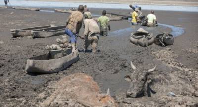 Disaster deepens at Lake Ngami :: Mmegi Online