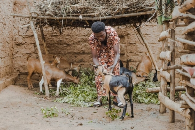 Pelagie Yaramfashije was given financial support which she used to buy livestock such as goats. 