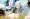 الأمين العام للأمم المتحدة أنطونيو غوتيريش يحضر اجتماع مجلس الأمن خلال الدورة السادسة والسبعين للجمعية العامة للأمم  حيث ادان محاولة الأنقلاب في السودان .أ.ف.ب