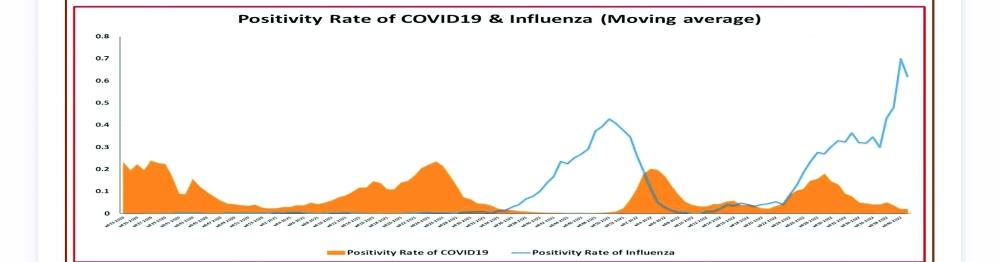 المنحنى الوبائي يوضح الحالات الايجابيه لكوفيد (البرتقالي) في الأسابيع الماضية وارتفاع الإنفلونزا الموسمية (الأزرق)